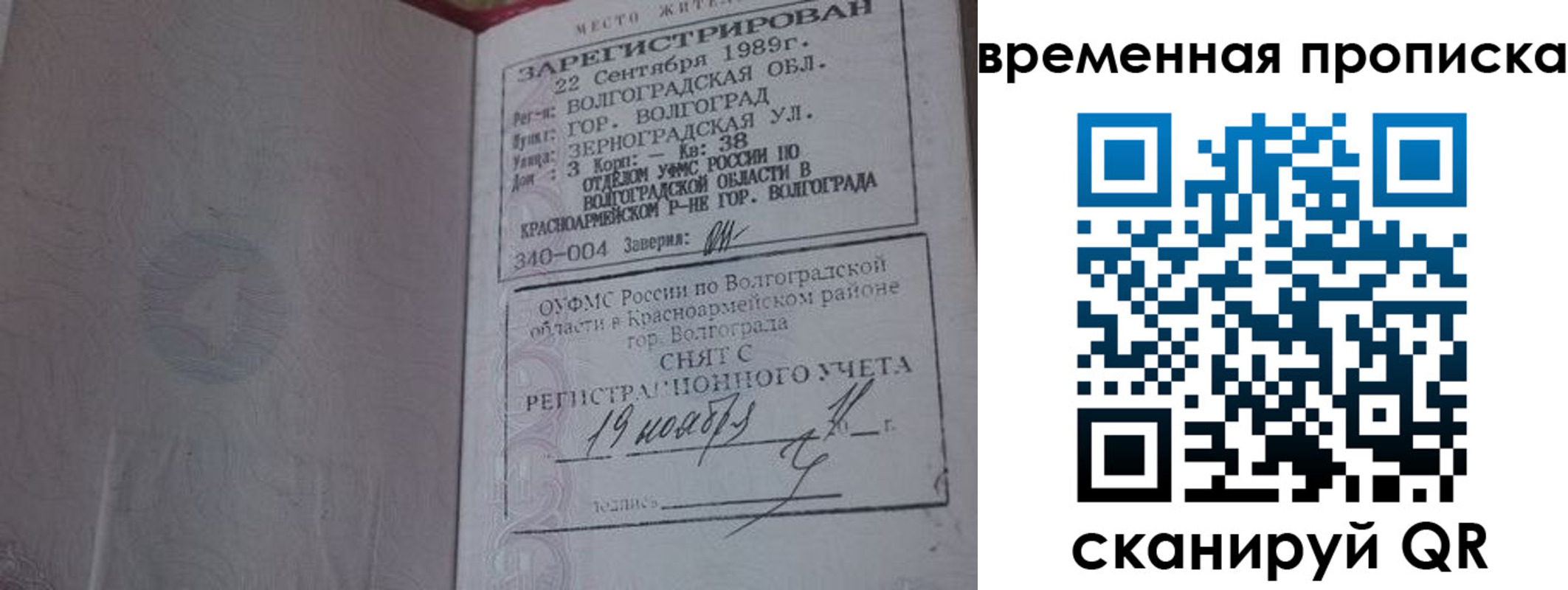 прописка законно в Борзе