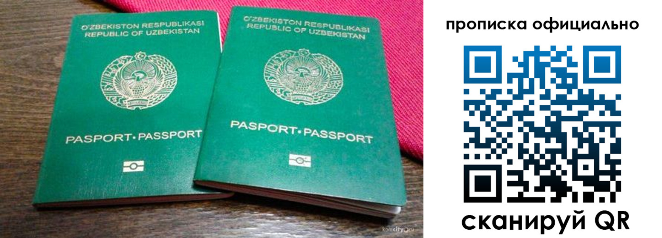 прописка для школы в Борзе