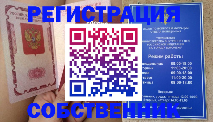 прописка законно в Борзе